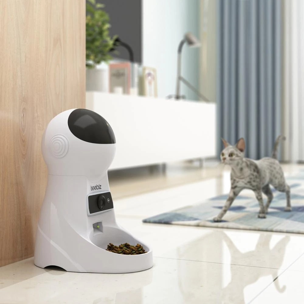 day automatic cat feeder